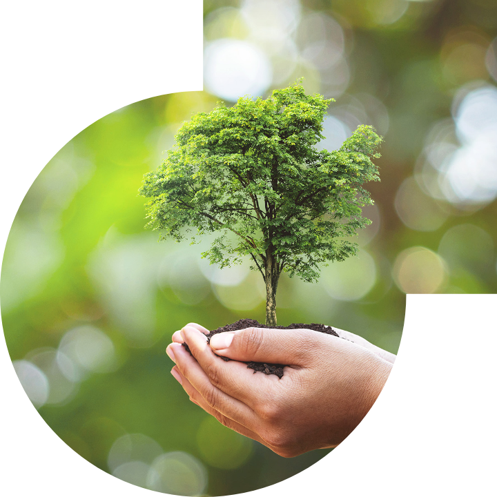 关怀人类、文化、环境与社会